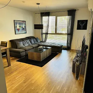 Brand New Apartment, Location-near Vic/danube Apartment Wien